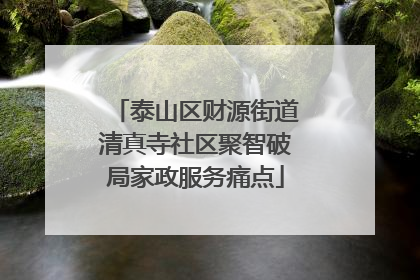 泰山区财源街道清真寺社区聚智破局家政服务痛点